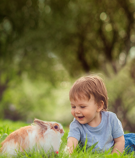 Kind und Kaninchen spielen gemeinsam auf der Wiese