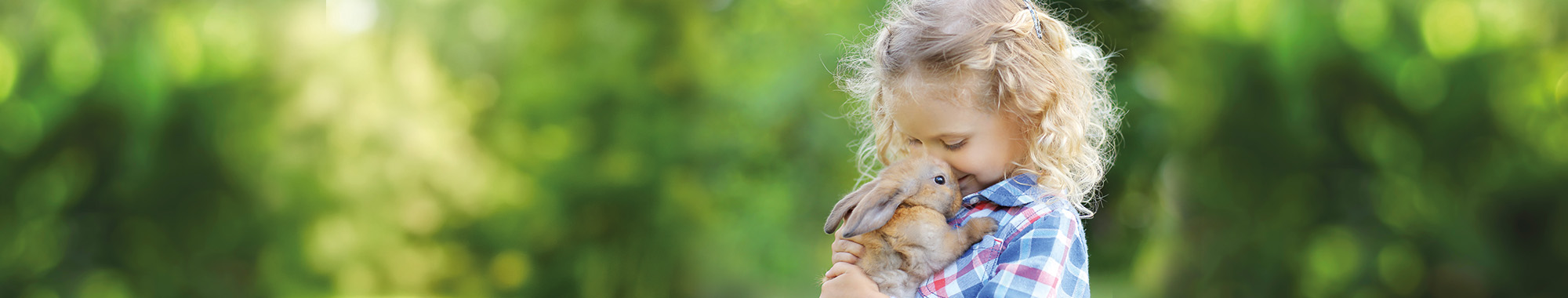 Kind schmust mit Kaninchen in der Natur.